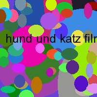 hund und katz film